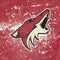 NHL Arizona Coyotes Frozen Surface Pro Tablet Skin